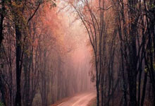 三个星期三线受挫，西蒙尼和他的马竞，又白忙活一年.