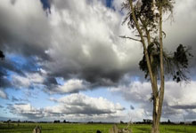 英超-哈兰德连场戴帽 曼城客场3-1战胜西汉姆联.