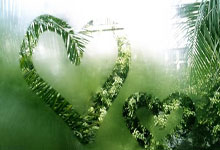 亿万28官网:CBA:南京头牌苏酒队99-93力克浙江稠州金租队.