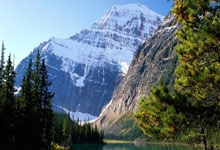 2023-2024赛季WCBA揭幕战:四川女篮战胜浙江女篮取得开门红中国新闻网.